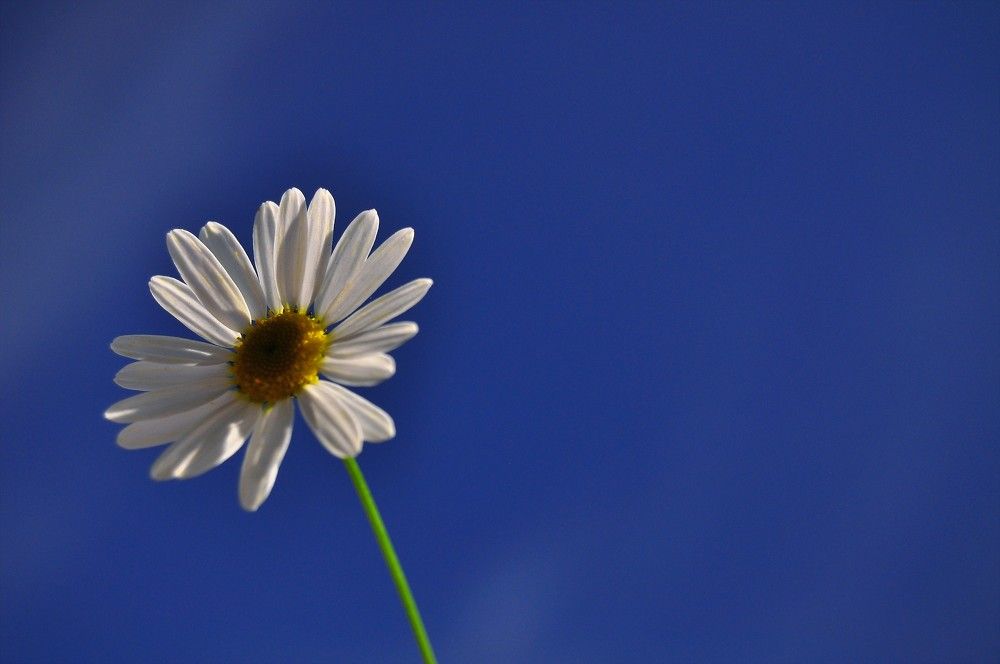 Photograph by Дмитрий Грысюк