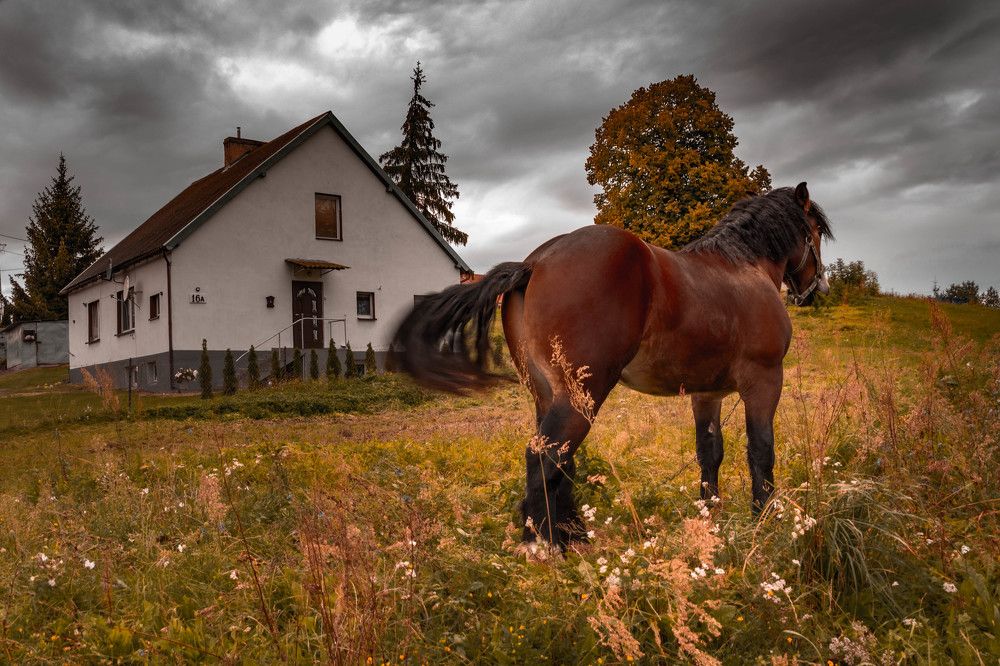 Photograph by Светлана Гонская