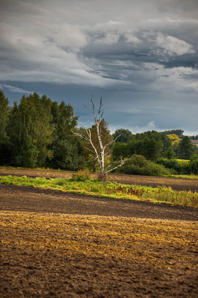 Photograph by Светлана Гонская