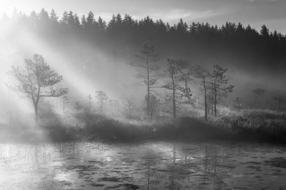 Photograph by Ярослав Лукьянов