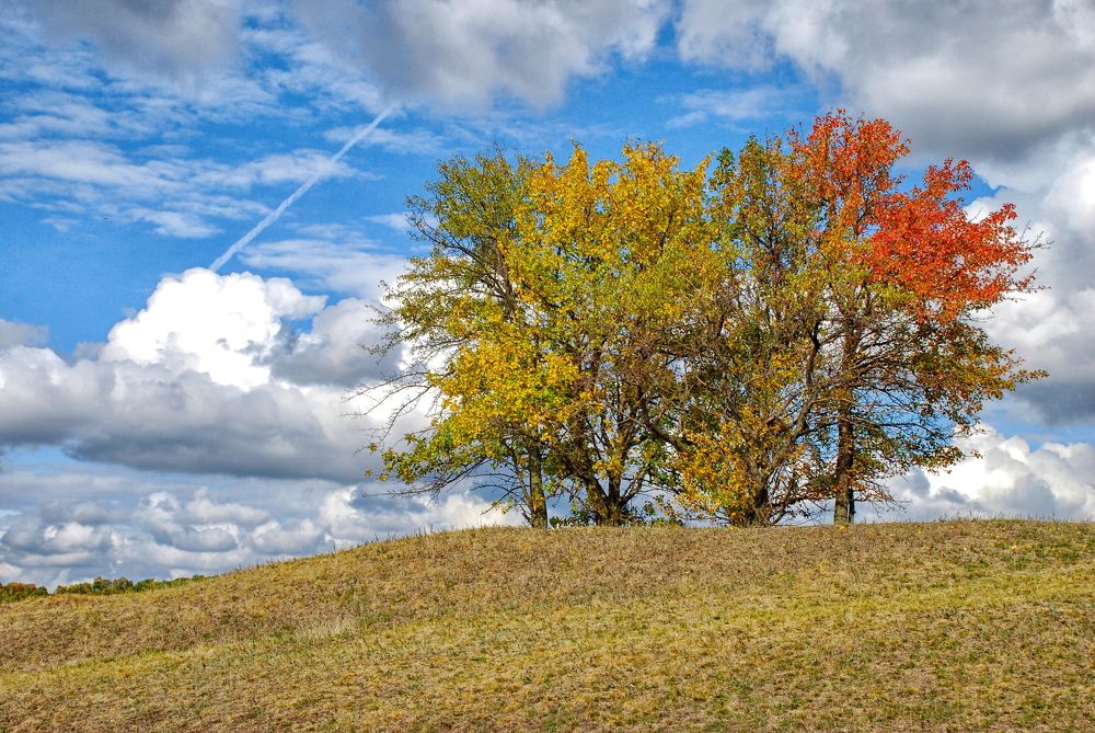 Photograph by Михаил Фролов