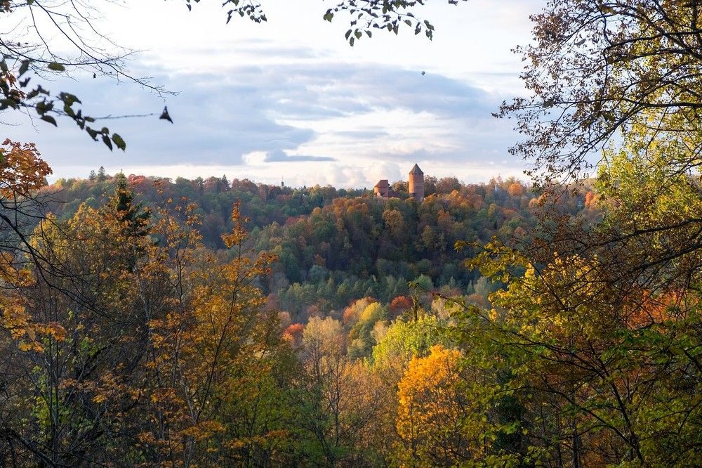 Турайдский замок