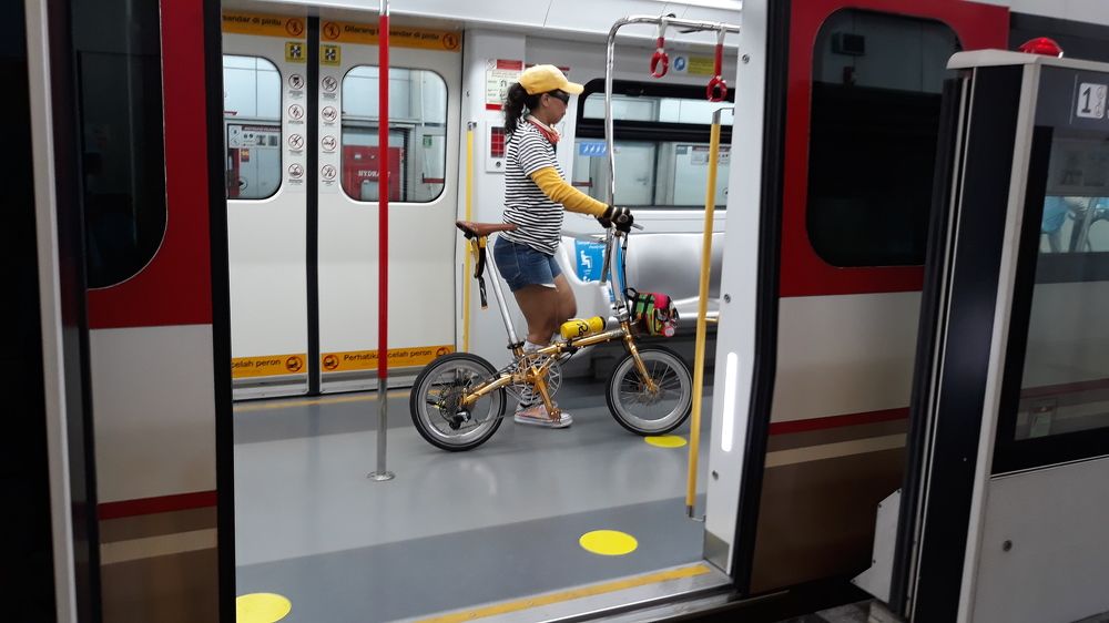 A woman with a bicycle