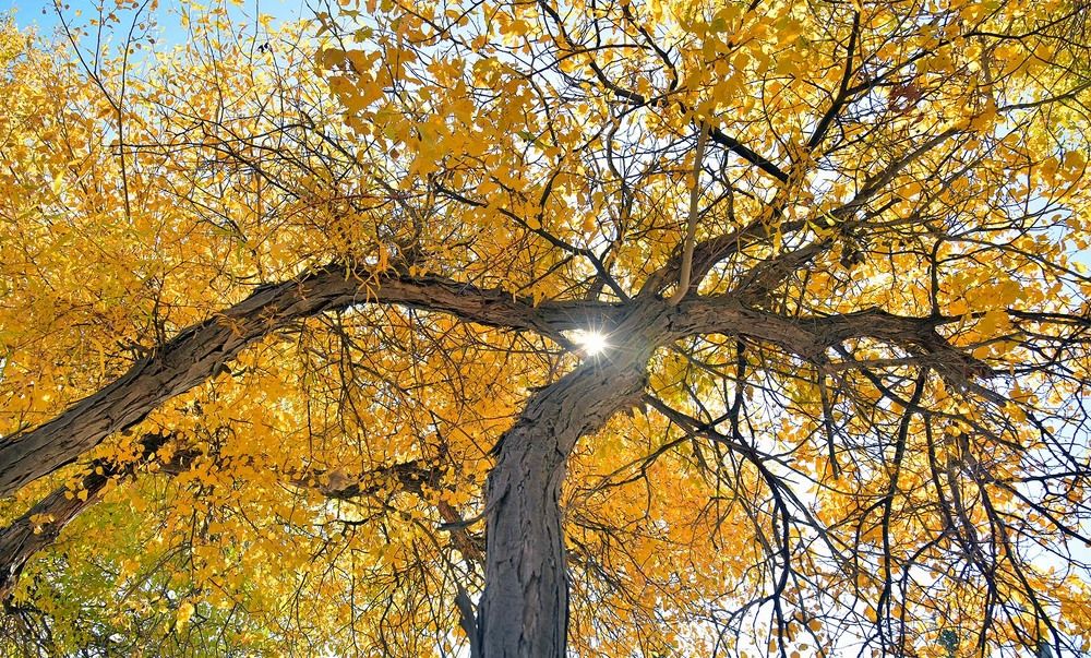 Photograph by Merdan Orazow