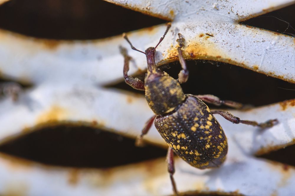 Photograph by Руслан Ибрагимов