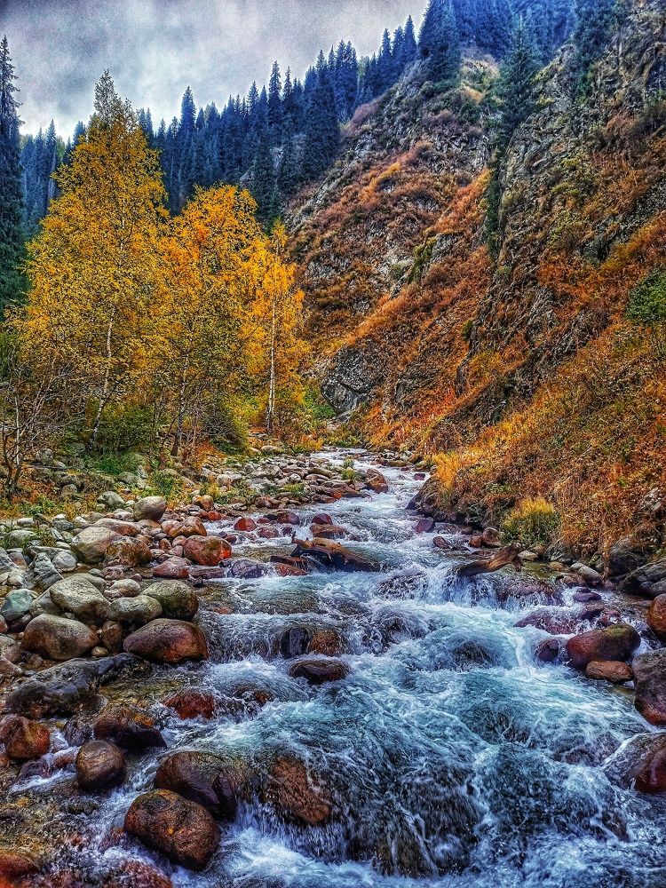 Осенняя пора