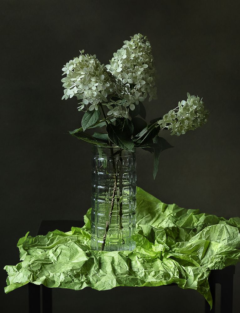 Photograph by Инна Бочарникова