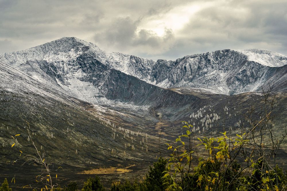 Photograph by VLADIMIR VOROBIV