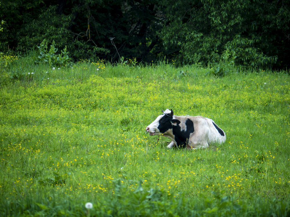 Photograph by Руслан Ибрагимов