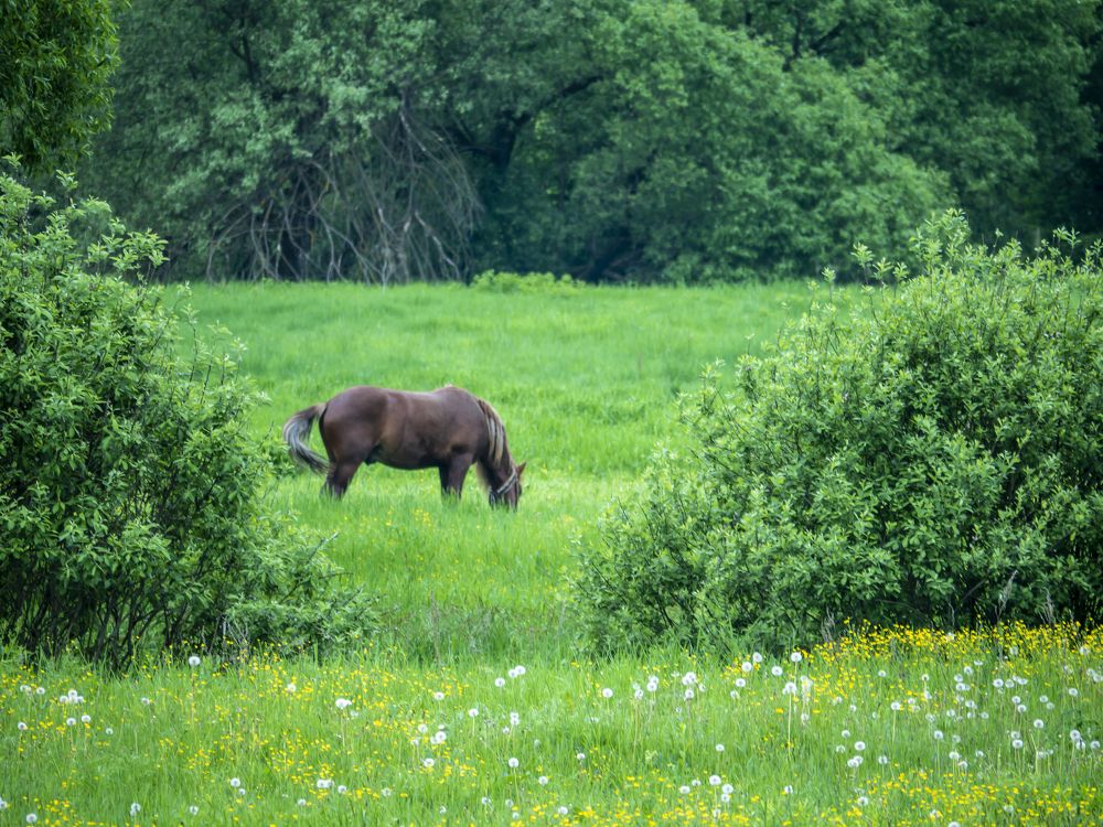 Photograph by Руслан Ибрагимов