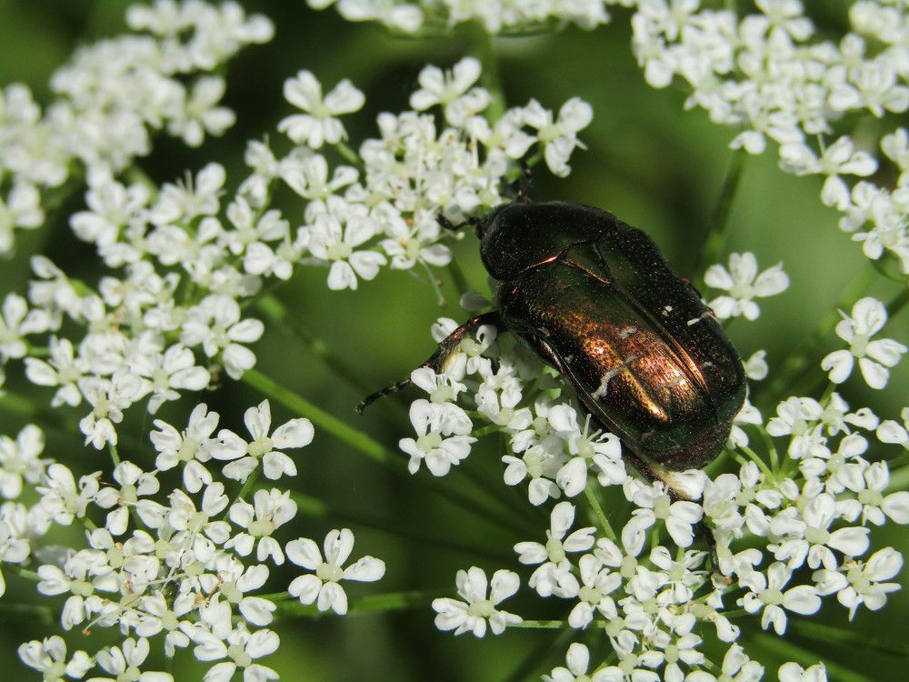 Photograph by Виктория Хмара