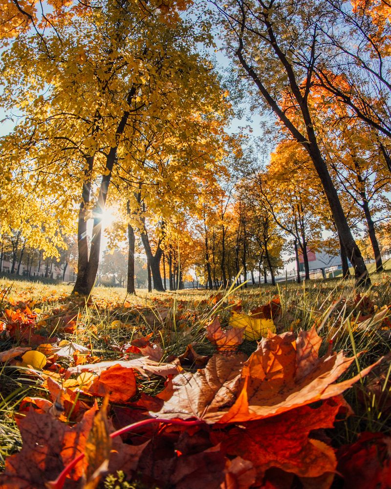 Photograph by Ранчинский Дмитрий