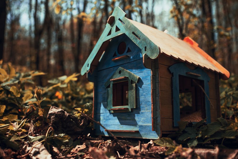 Photograph by Андрей Шелуков