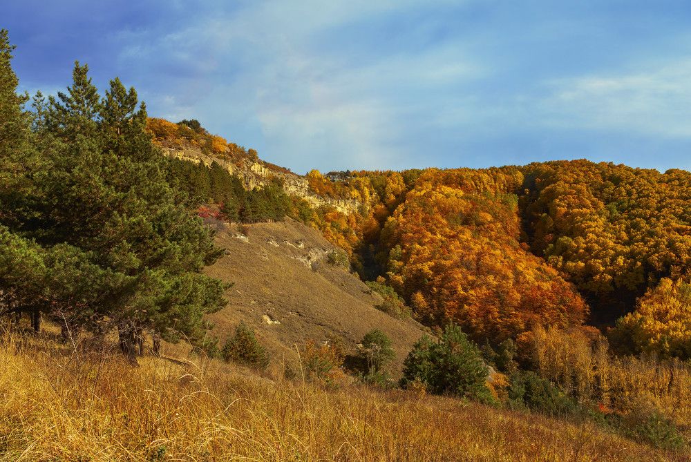 Photograph by Владимир Гамаюнов