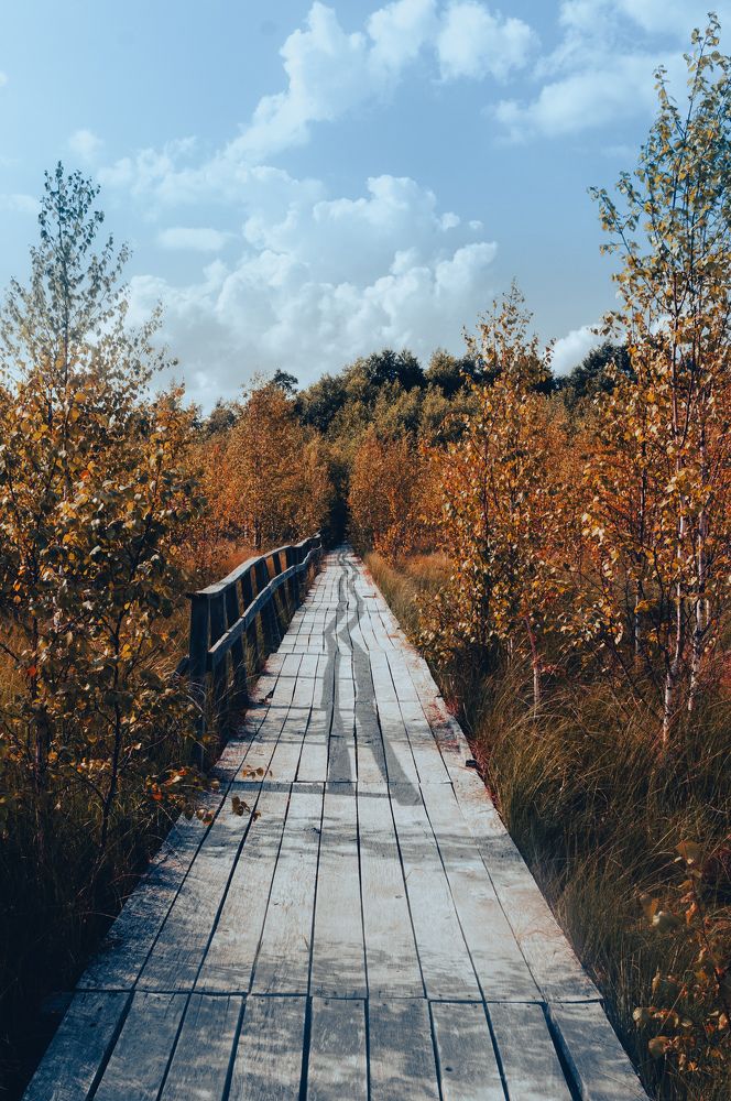 Фотография автора Геннадий Ломеко