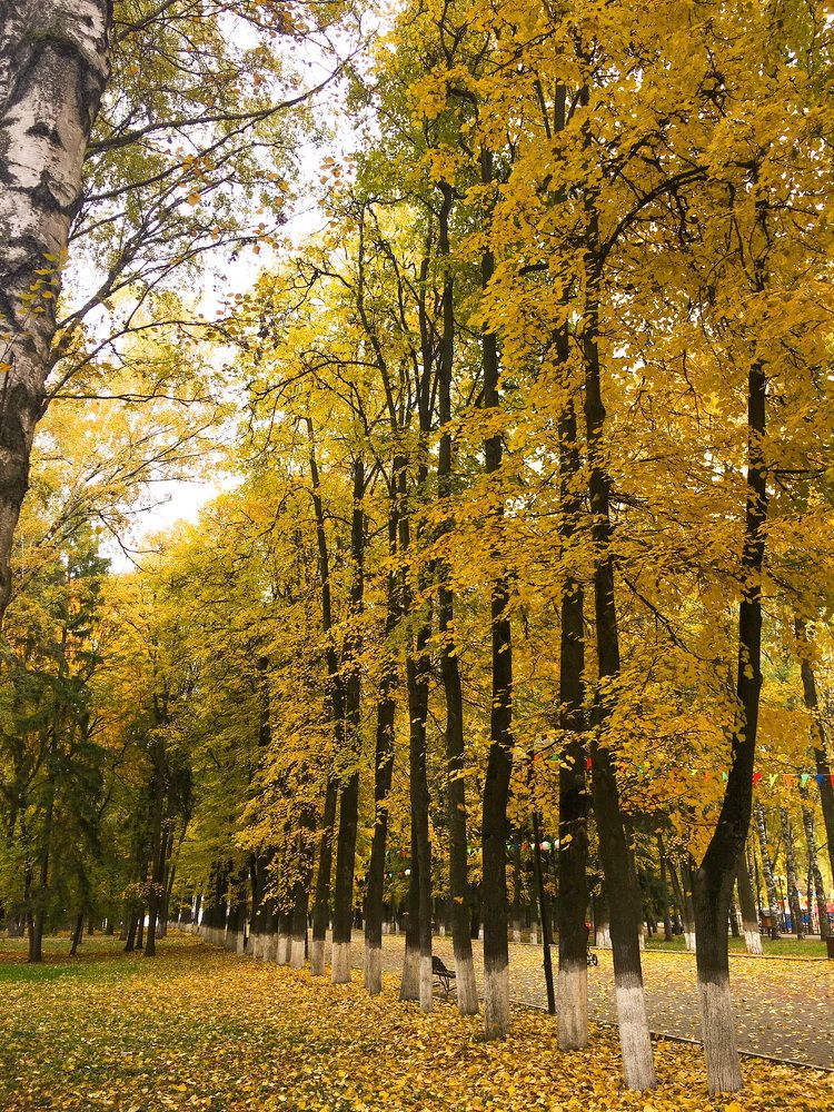 Photograph by Елизавета Большакова