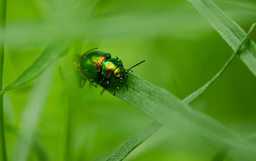 Photograph by Татьяна Вяткина