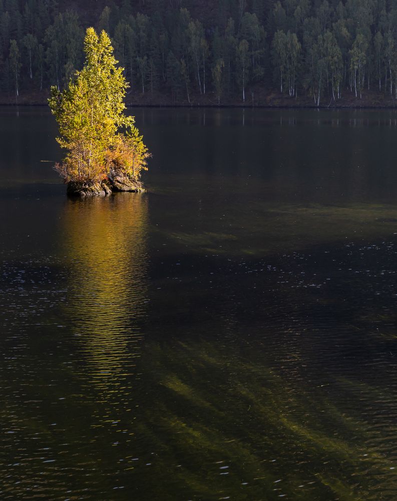 Photograph by Марина Новожилова