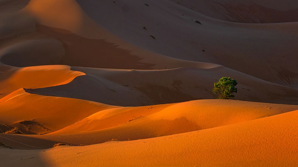 Photograph by Adrian Adi Gli