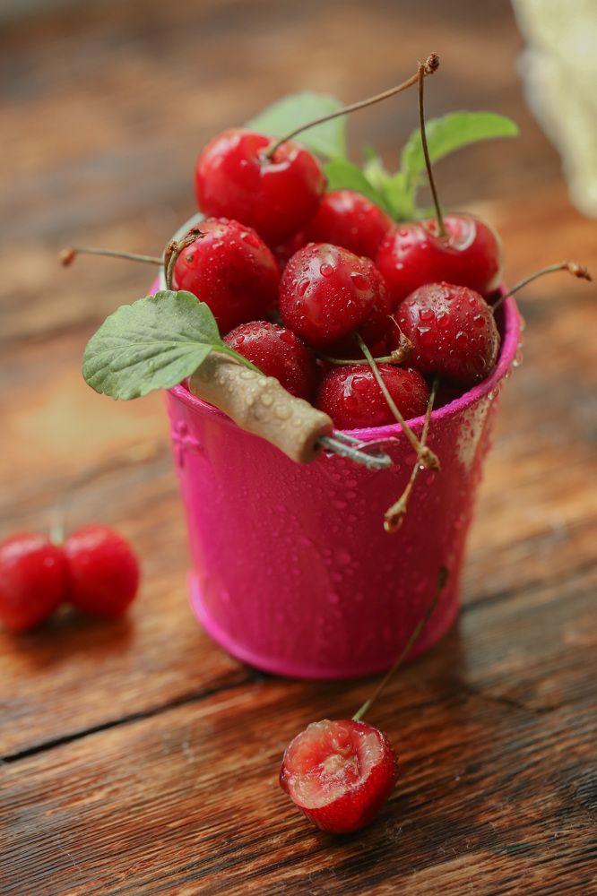 Photograph by Ольга