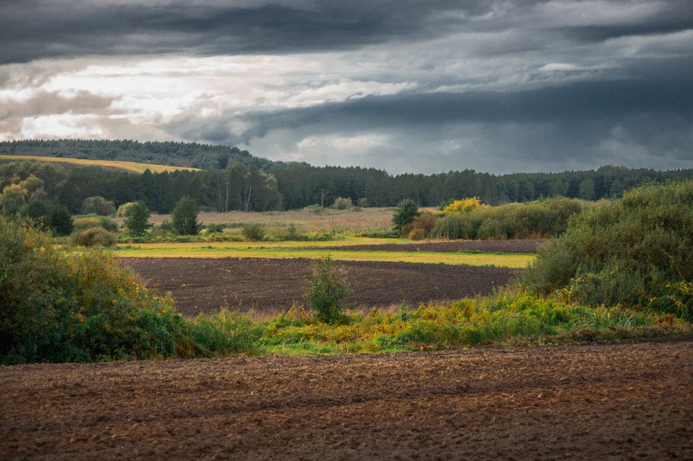 Photograph by Светлана Гонская