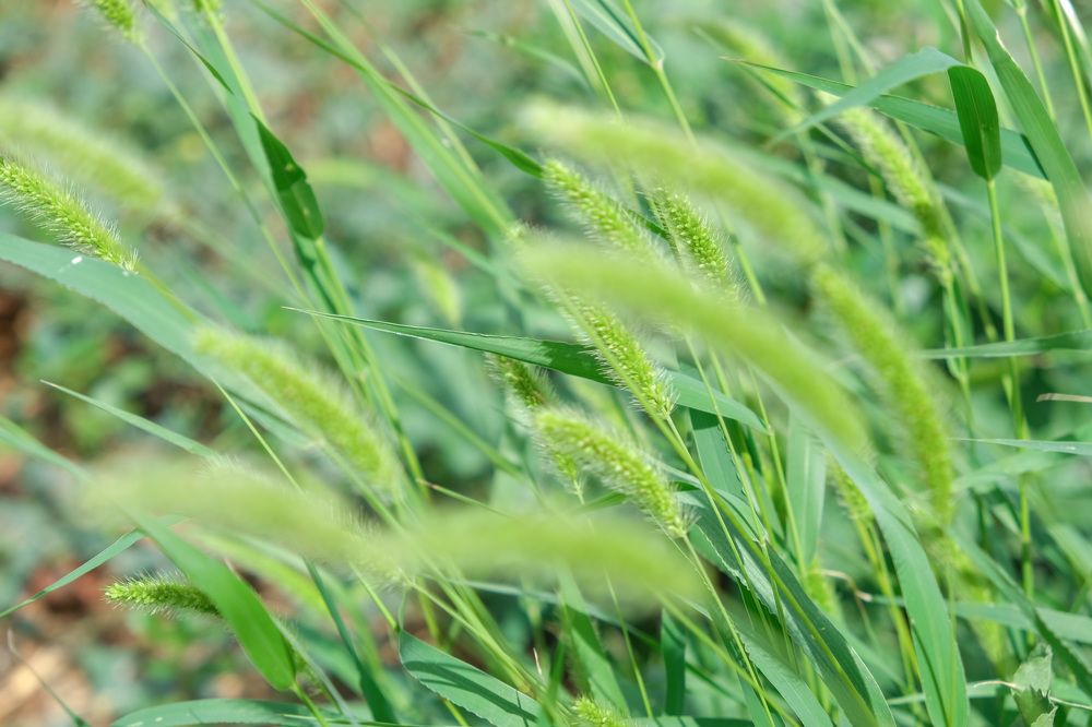 Photograph by Ольга