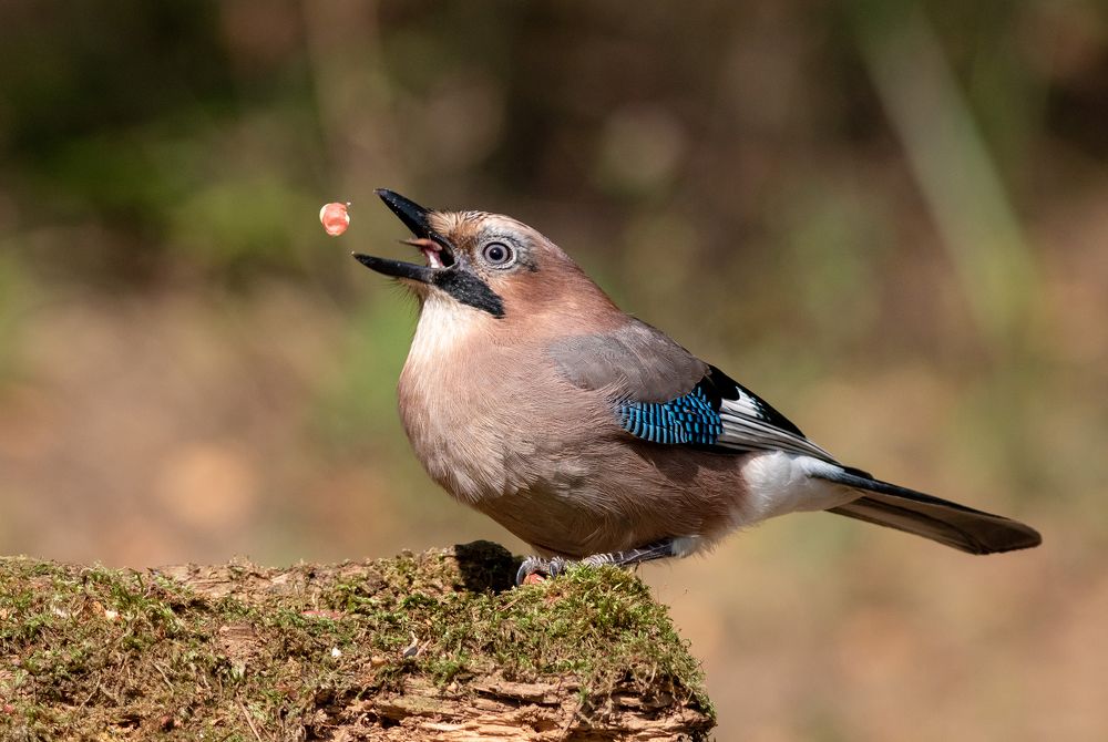 Photograph by Павел Краснослободцев