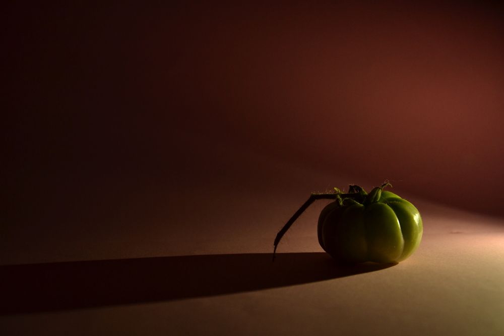 Photograph by Екатерина