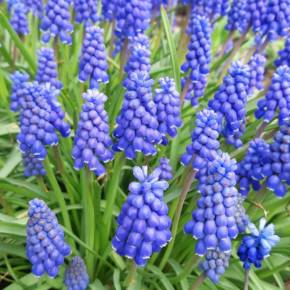 Фотография автора Ирина Лукьянчик