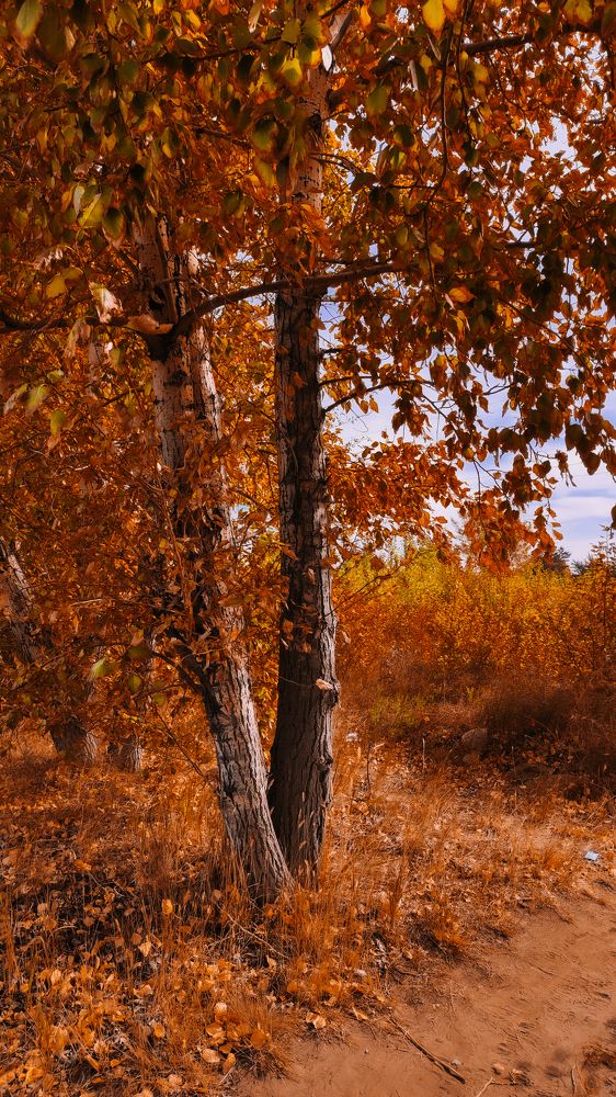 Фотография автора Марина Маллаева