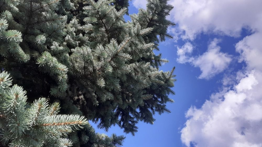 Photograph by Елена Лещева