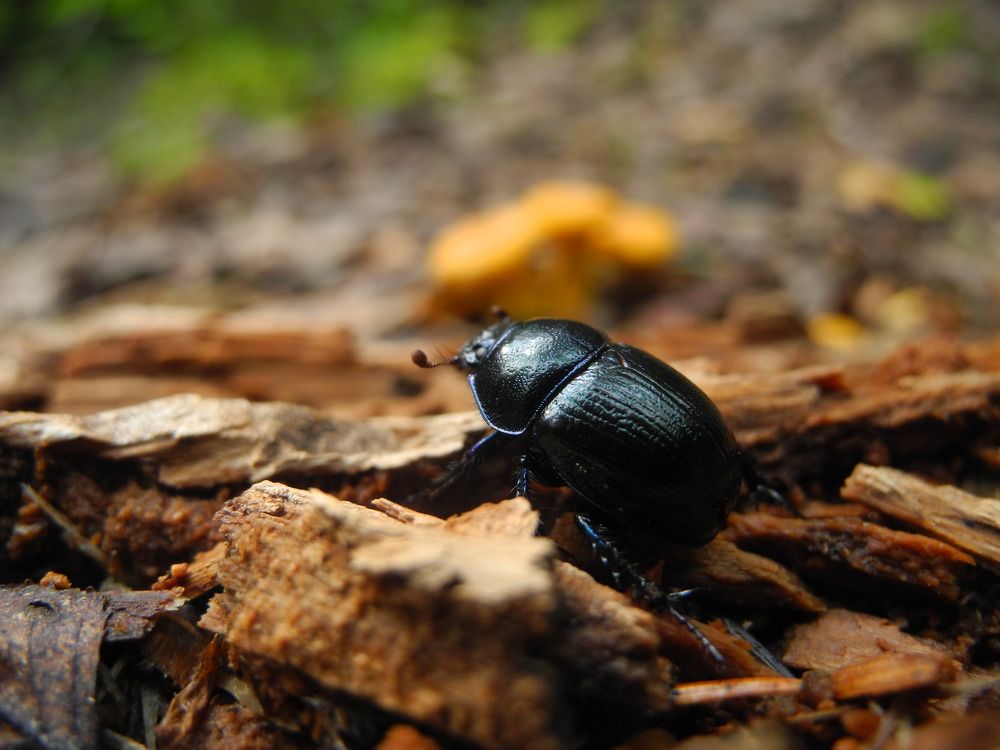 Photograph by Андрей Головин