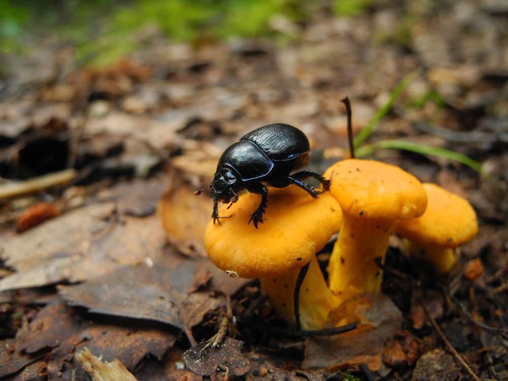 Photograph by Андрей Головин