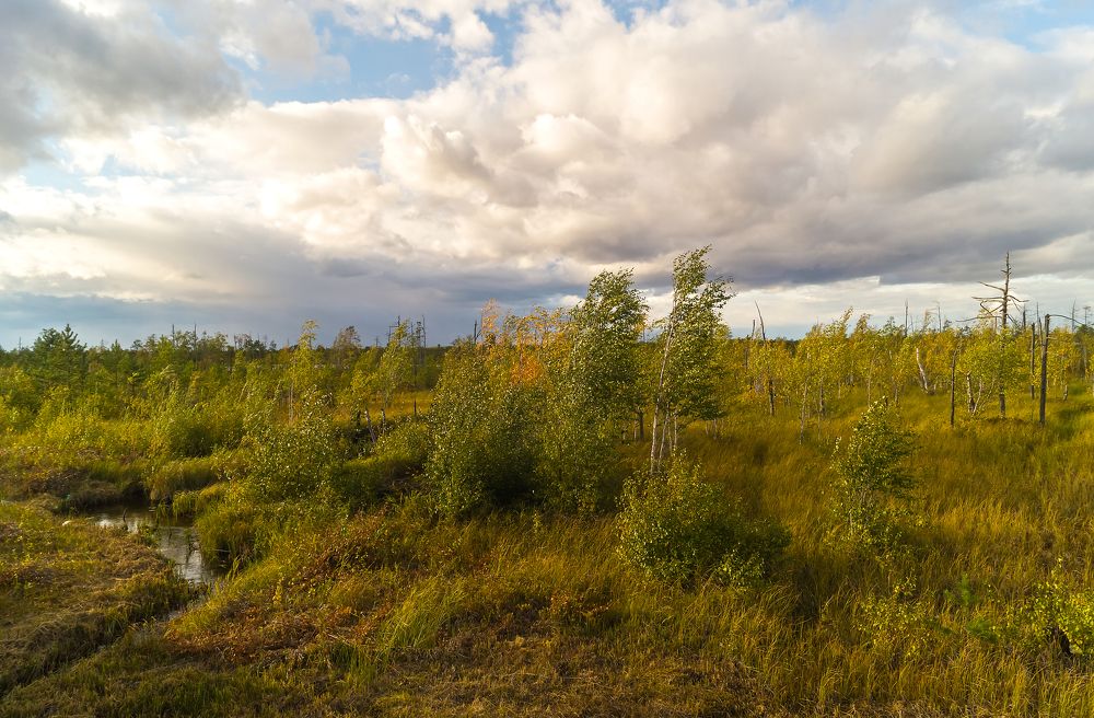 Photograph by Оксана Галлямова