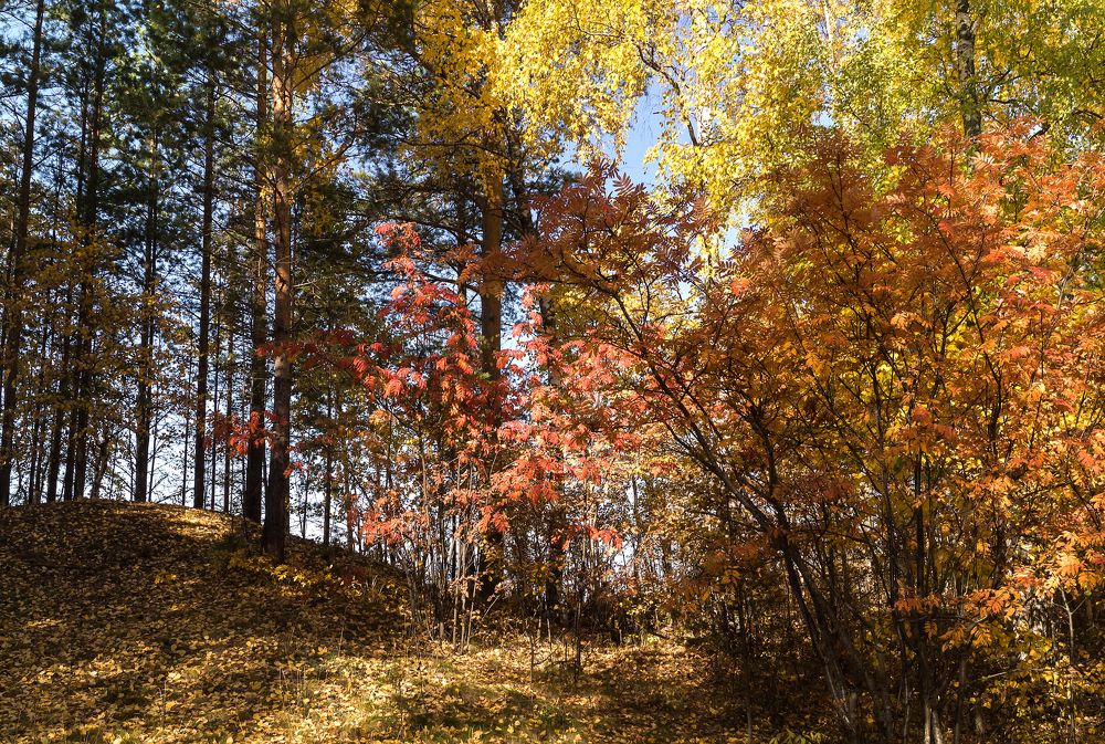 Photograph by Оксана Галлямова