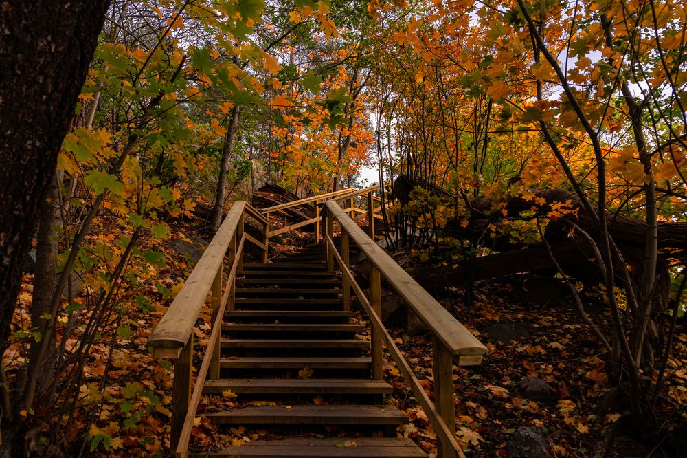 Фотография автора Julia A Caesar