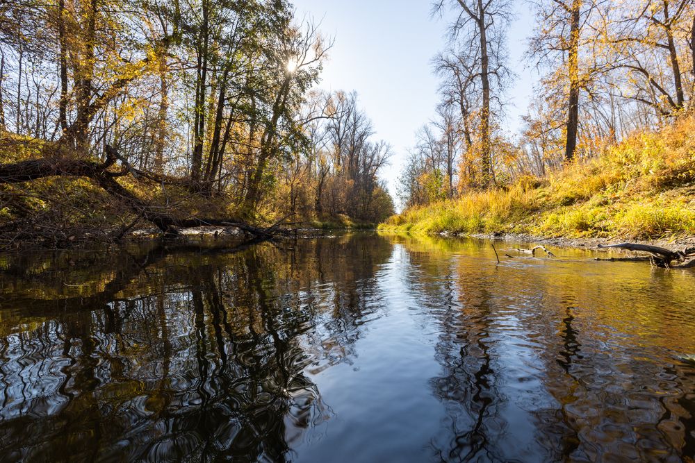 Photograph by Роман Козвонин