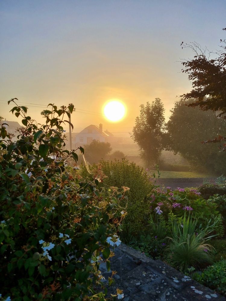 Photograph by Hanna Bourne