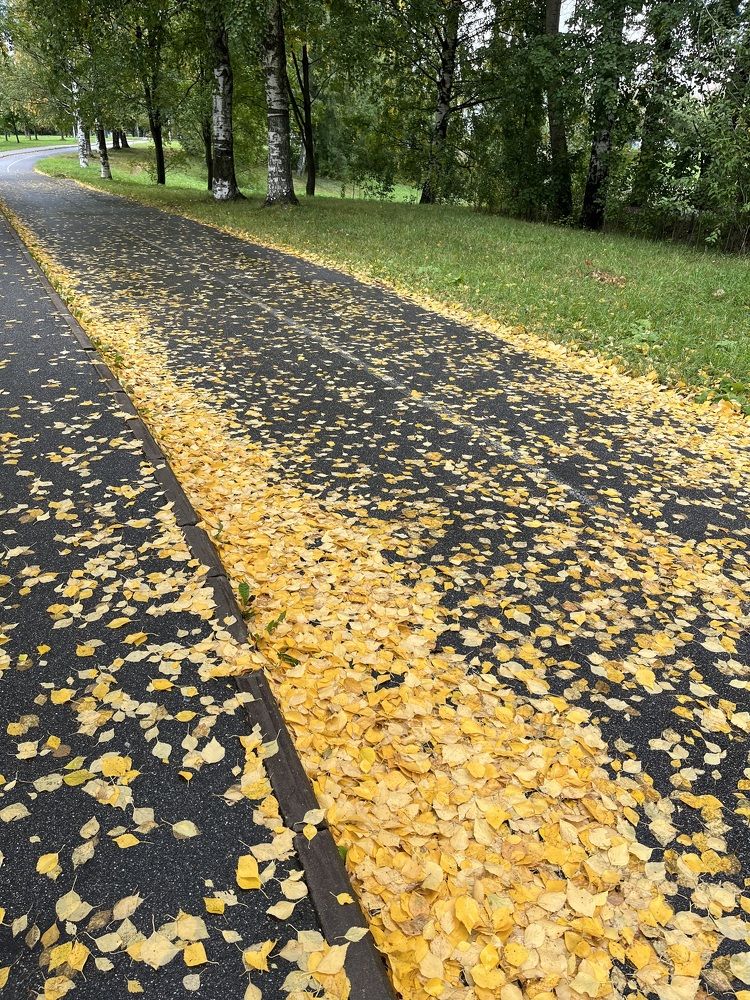 Золото Осени...