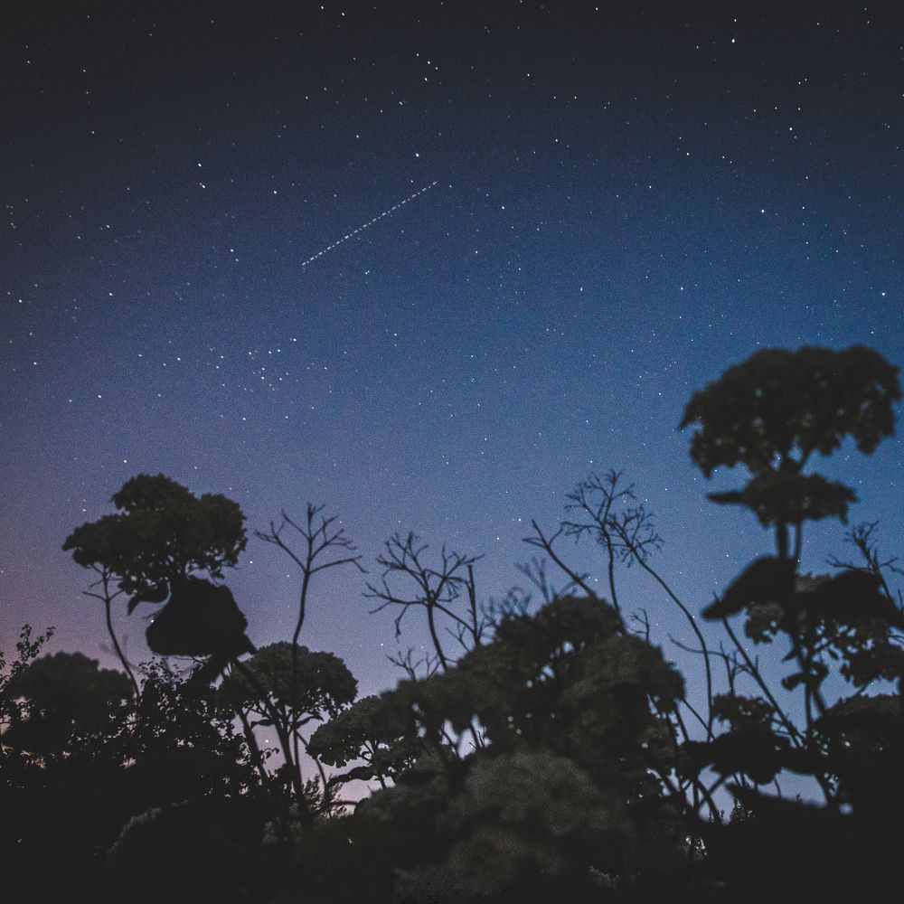 Photograph by Игорь Evdoseev