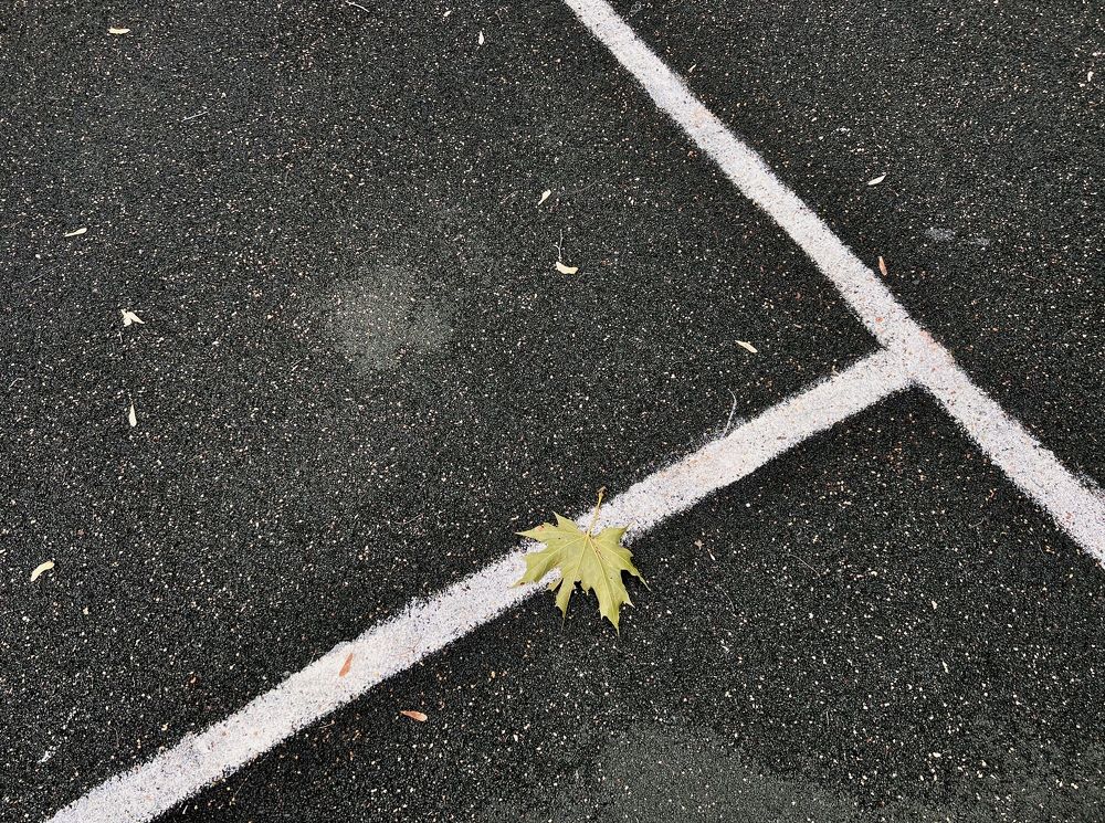 Photograph by Захарова Елена