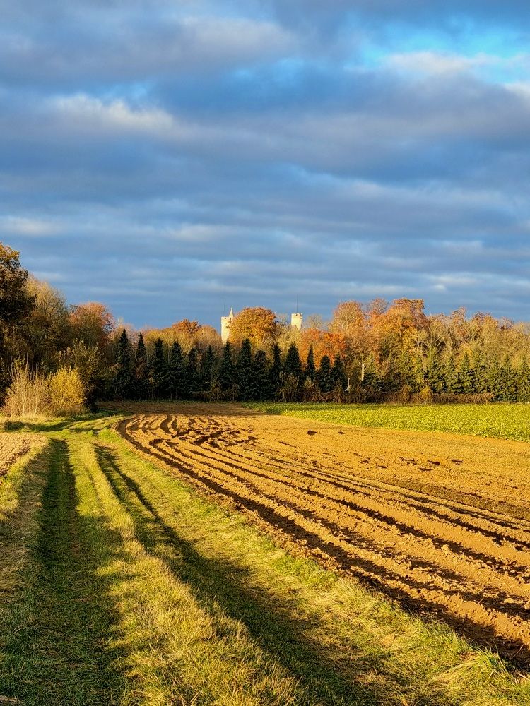 Photograph by Hanna Bourne