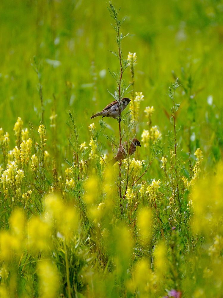 Photograph by Екатерина Дубровская