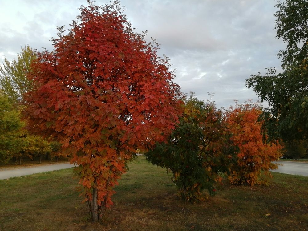 Photograph by Наталия