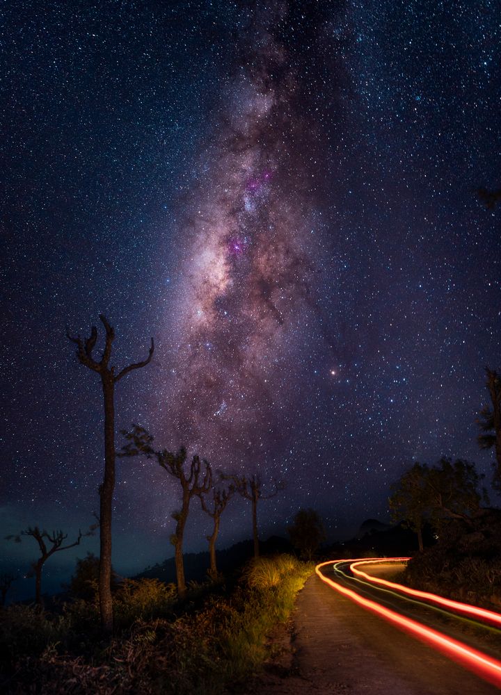 Фотография автора Amal Prasad