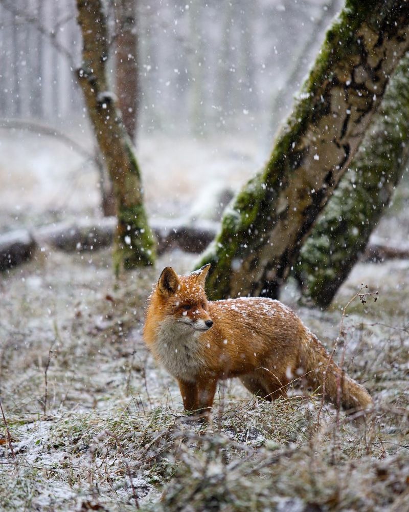 Photograph by Biryukova Anastasia