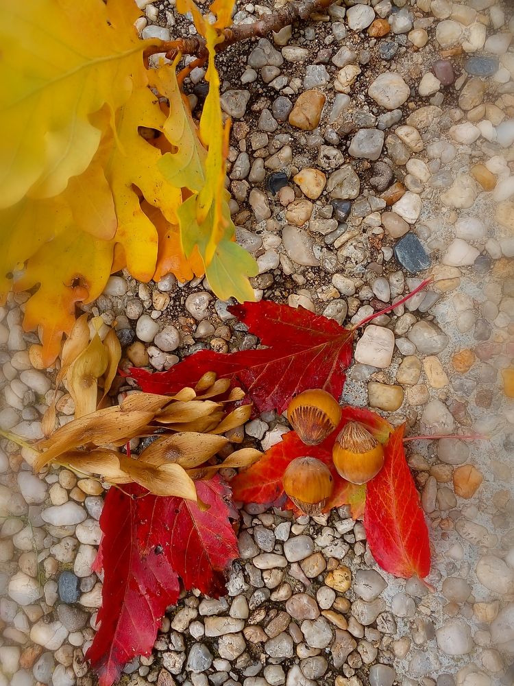 Photograph by Lizuza