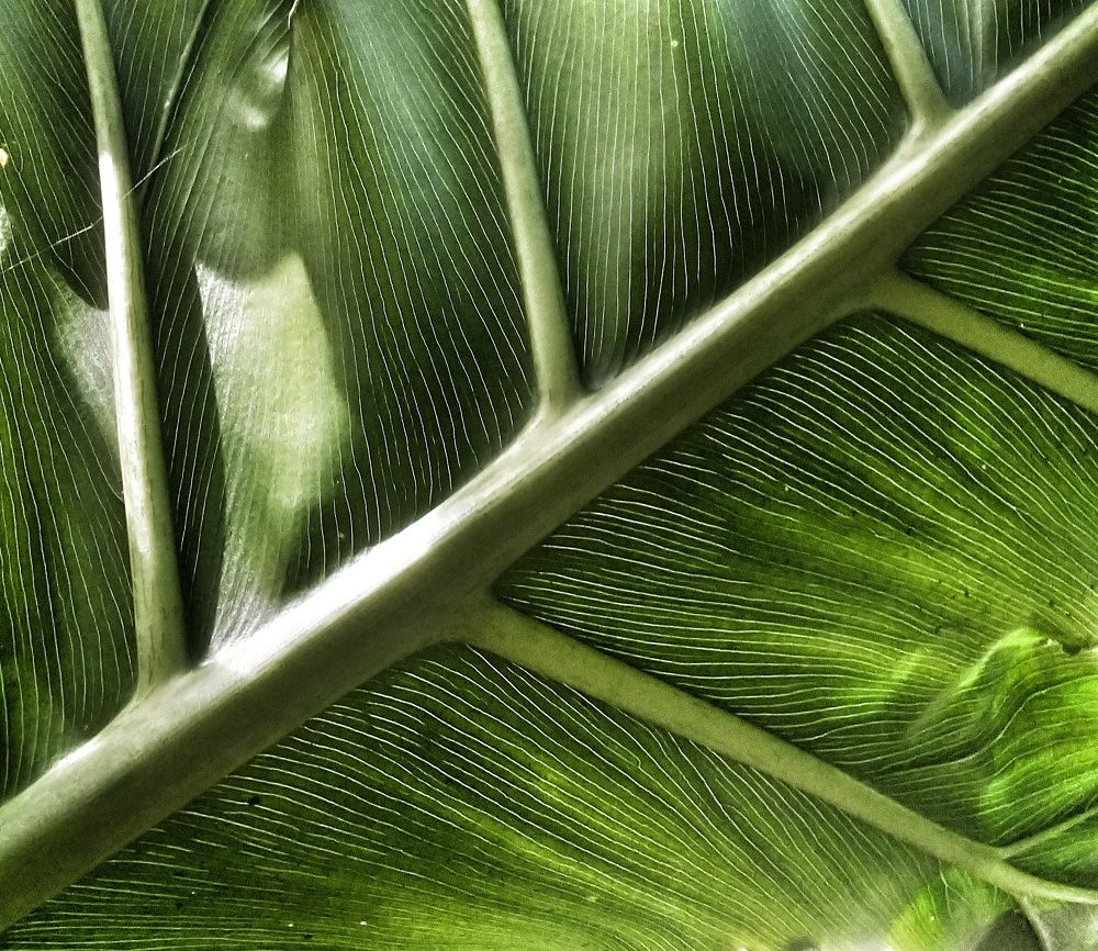 Photograph by Анна Матецкая