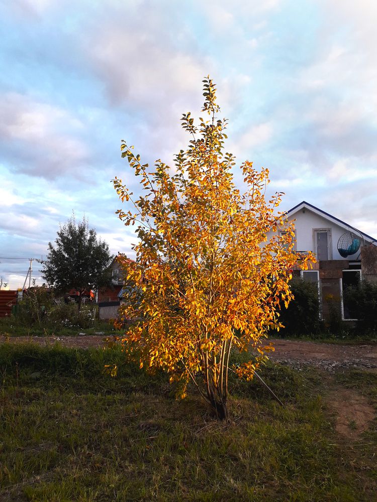 Photograph by Денис Кичев