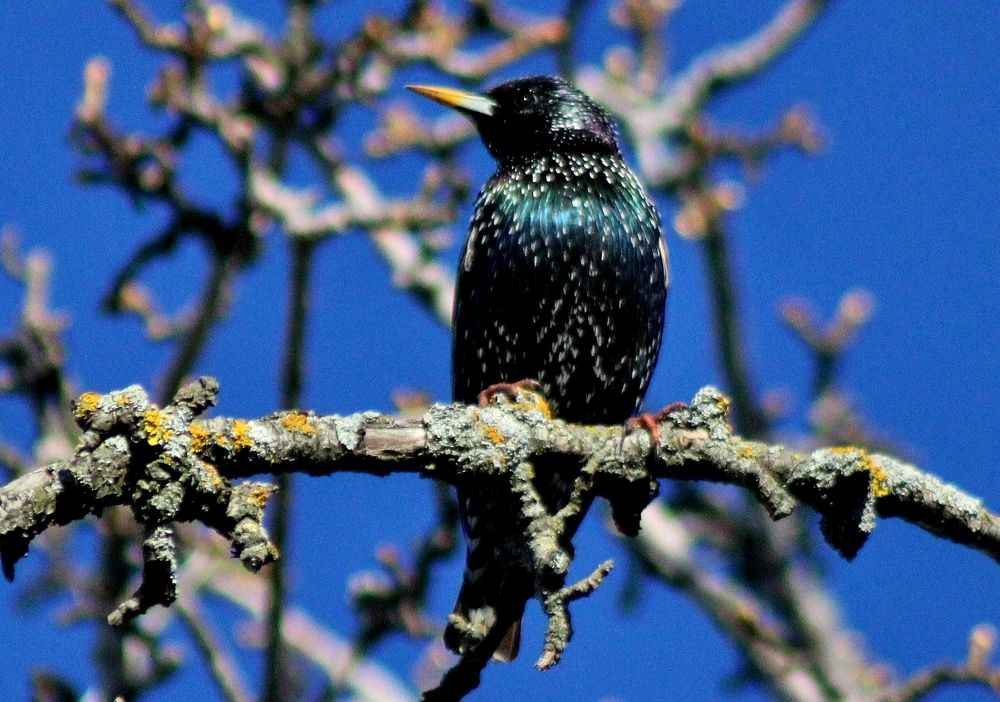 Photograph by Анна Восковых